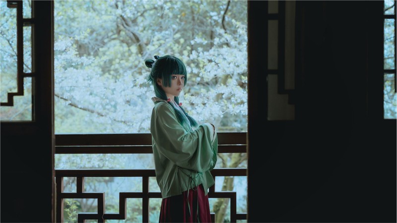 6595-矢量魚 – Maomao-绅士社
